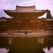 トドの画像