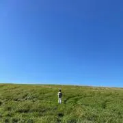 ディジーの画像