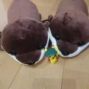 いとちんの画像