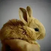 まろ