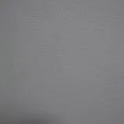 たまの画像