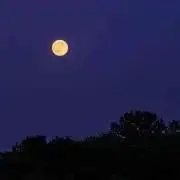 いろ ※プロフ必読