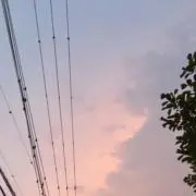 ふうの画像