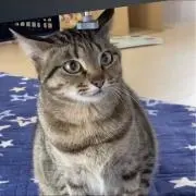 なちゅ