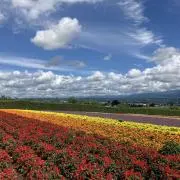 mmの画像