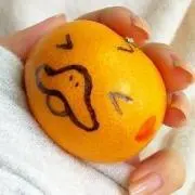 柳苔の画像