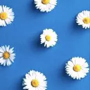 A&Kの画像
