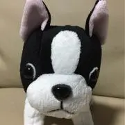 ノンアン母