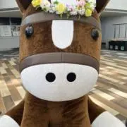 マサシの画像