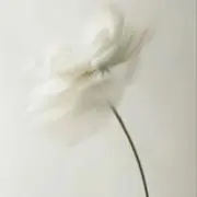 iの画像