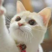 shelter0415の画像