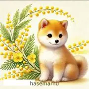 ＊はせまむ＊の画像