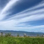 ごっさんの画像