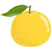 ゆず