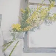 Nococo