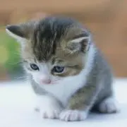 ひーくん♪