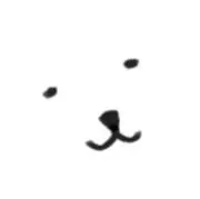 こり  ꒰ プロフ必読 ꒱の画像