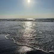 リリやの画像