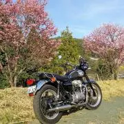 のりの画像