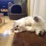 まる