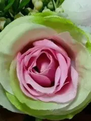 Ribbon♪