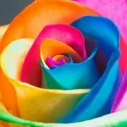 RainBow☆の画像