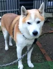 マコト