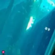 のしむ