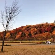 りょの画像