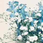 みんの画像