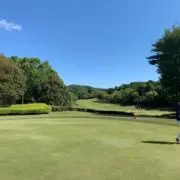 カルロスジョージの画像