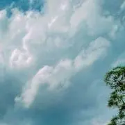 ながせ