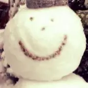 Flowerの画像