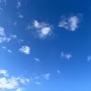 riichの画像