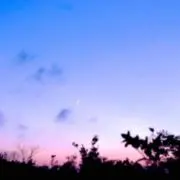 あかりの画像