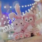 Aの画像