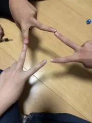 いぬねこの画像