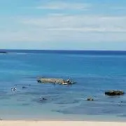 Y