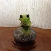sakuraの画像