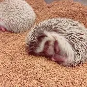 はる☺︎の画像