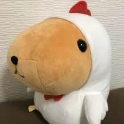 ぴーすけの画像