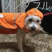 ガレット☆の画像