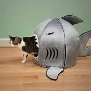 猫魚