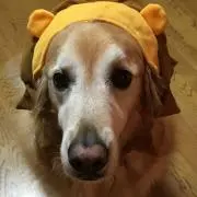 みかりんの画像