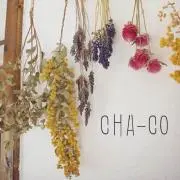 CHA-COの画像