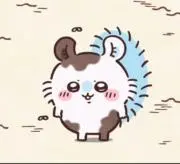 みゆちの画像