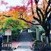 JYの画像