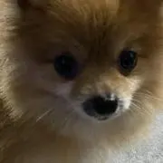 ジョンの画像