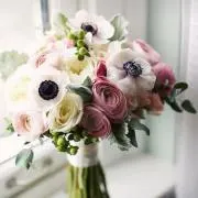 anemone..＊の画像