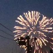 マナツの画像
